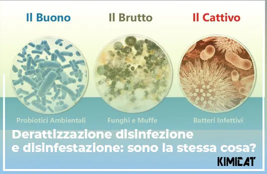 Derattizzazione disinfezione e disinfestazione: sono la stessa cosa?