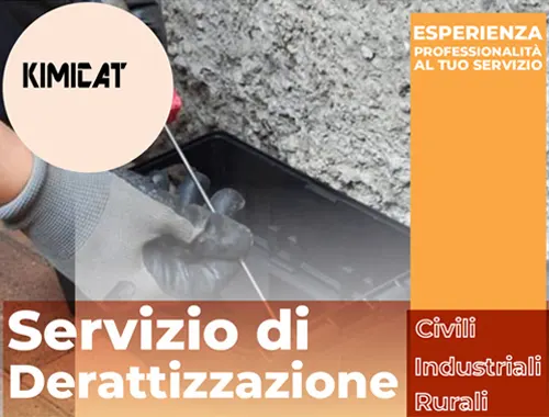 servizio di derattizzazione