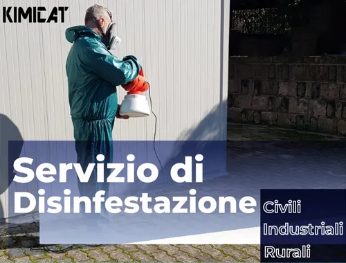 servizio di disinfestazione