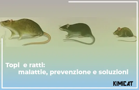 prevenzione malattie e soluzioni topi e ratti