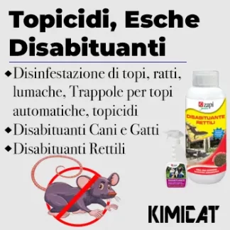Topicidi